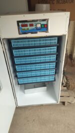 528 Eggs Automatic Incubator – Commercial Capacity - Image 3